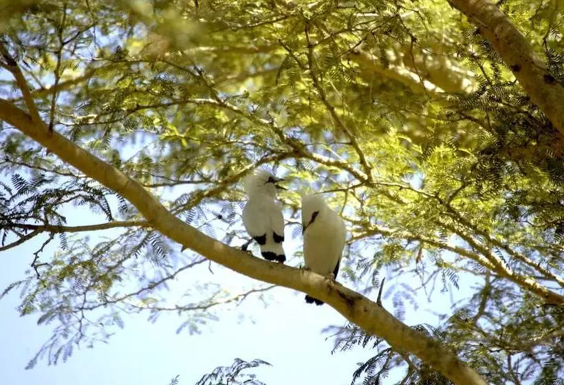 Hôtel The Menjangan By Lifestyleretreats