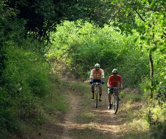 Hôtel The Menjangan By Lifestyleretreats