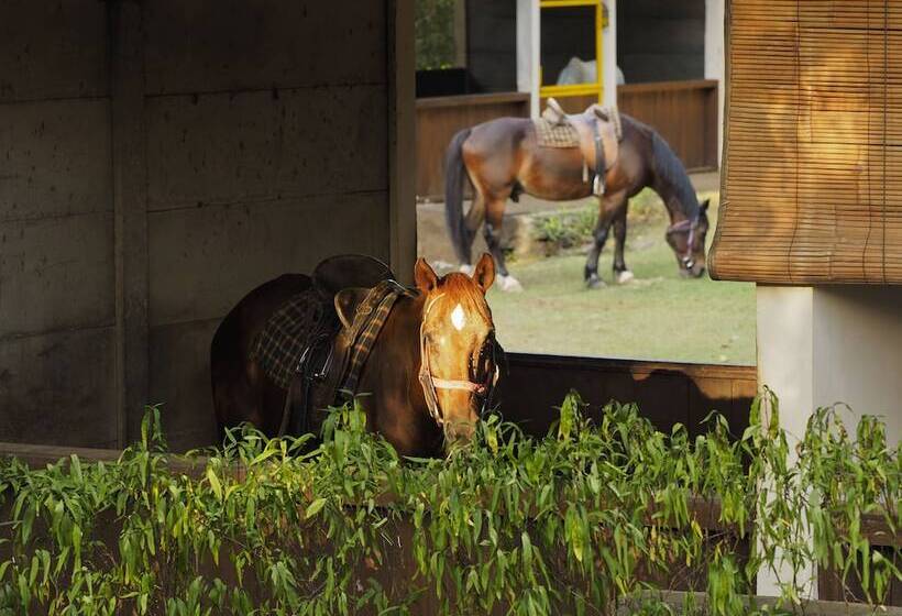 호텔 The Menjangan By Lifestyleretreats