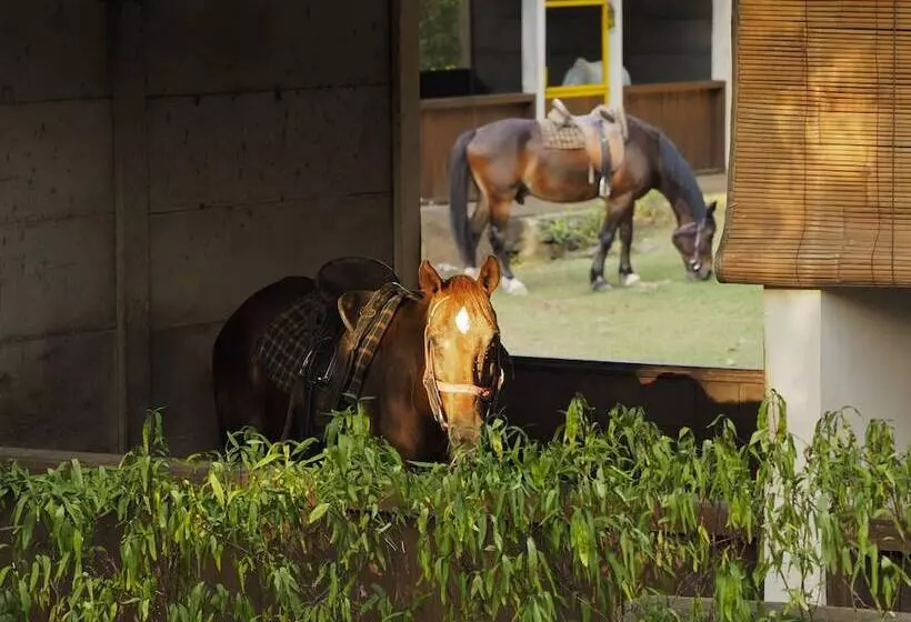 Hôtel The Menjangan By Lifestyleretreats