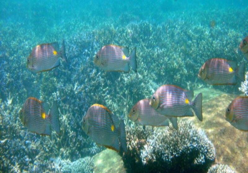 فندق Trinco Blu By Cinnamon