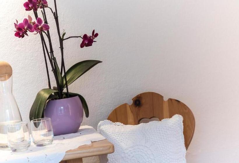 膳宿费 Garni Pramstrahler