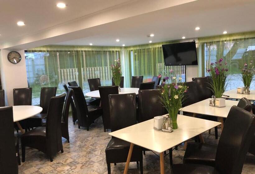 פנסיון Lunca Lui Dan