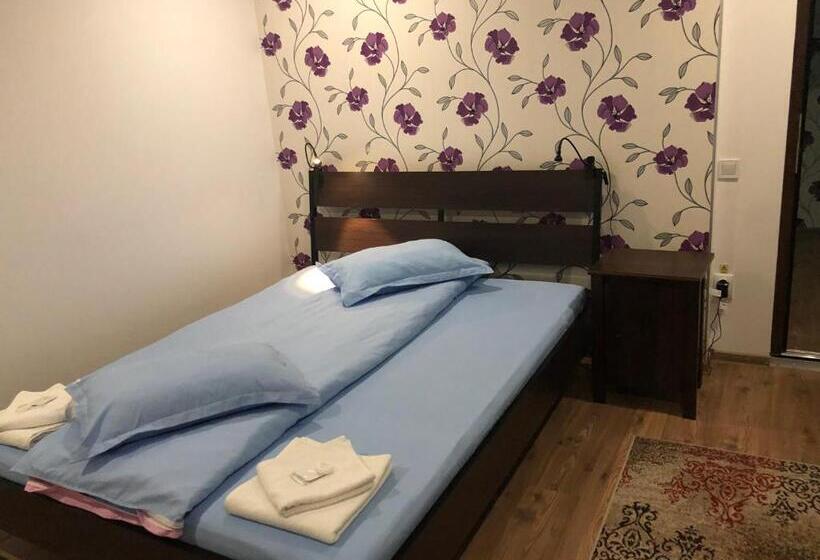 פנסיון Lunca Lui Dan