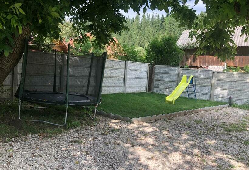 פנסיון Lunca Lui Dan