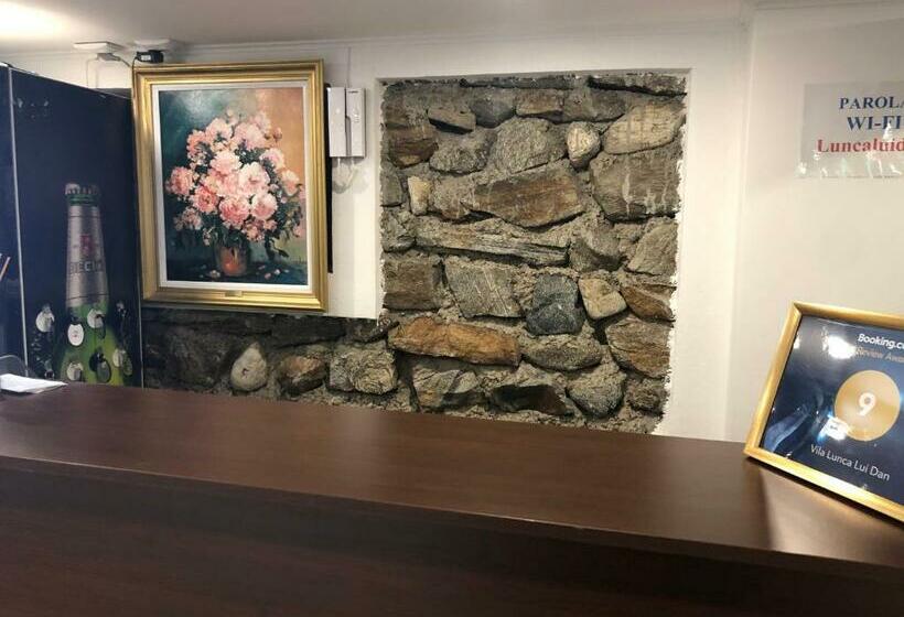 פנסיון Lunca Lui Dan