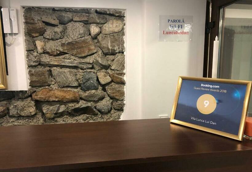 פנסיון Lunca Lui Dan