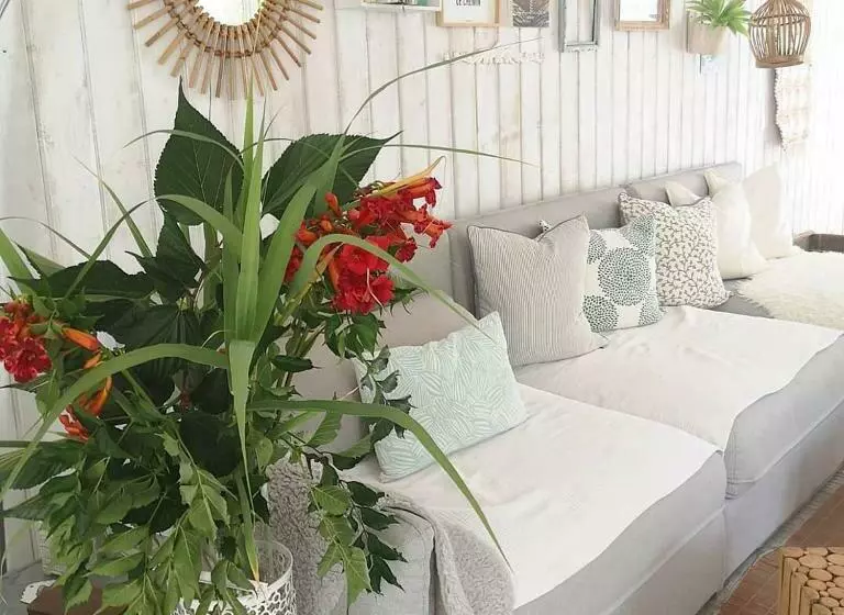 Aamiaismajoitus (B&B) Aux Champés