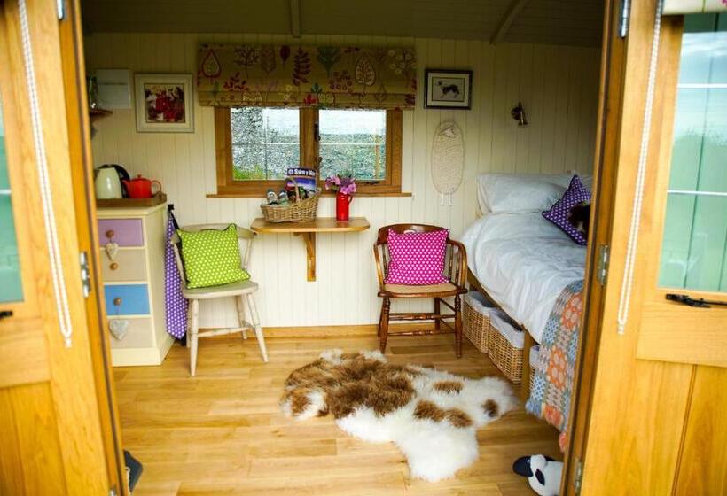 Bed and Breakfast Storws Y Gorlan Shepherd S Hut