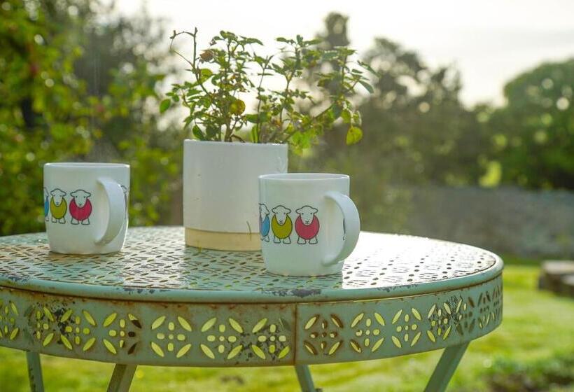 Bed and Breakfast Storws Y Gorlan Shepherd S Hut