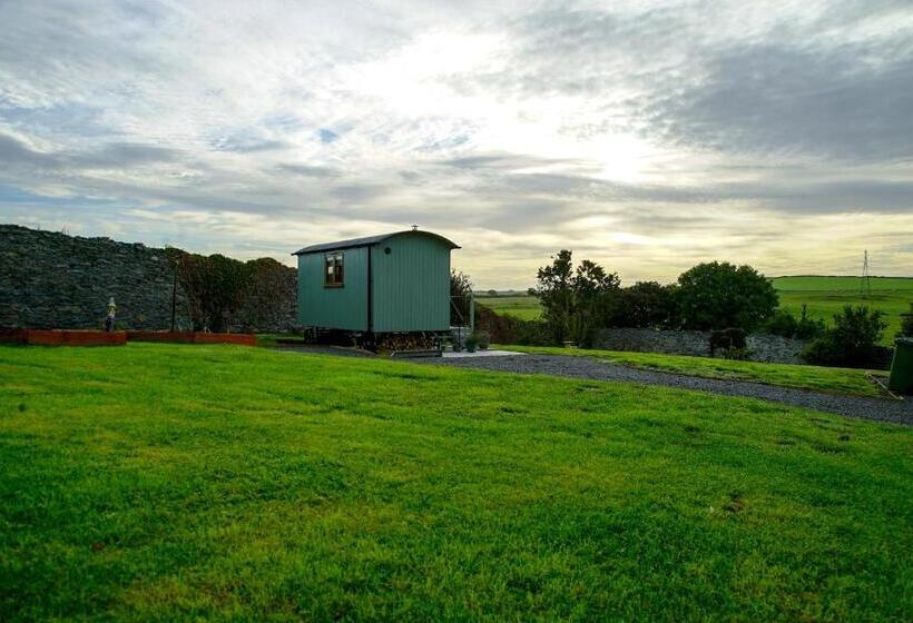 Bed and Breakfast Storws Y Gorlan Shepherd S Hut