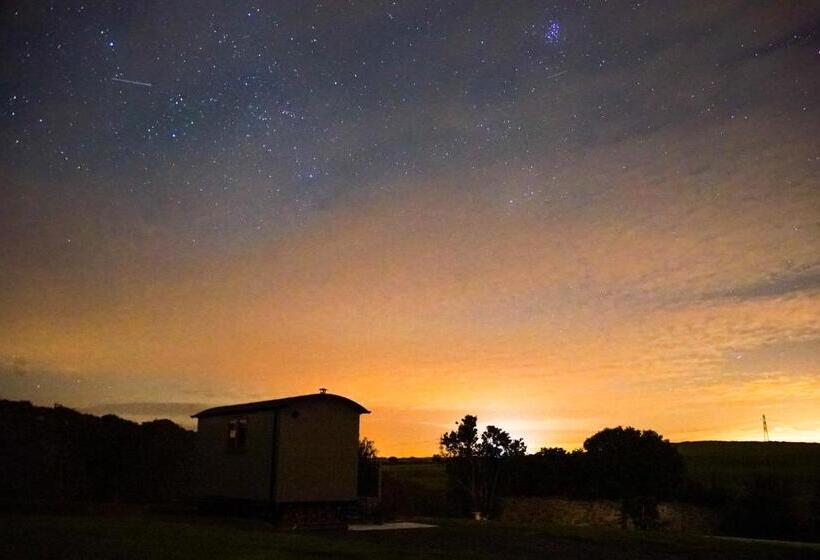 Bed and Breakfast Storws Y Gorlan Shepherd S Hut