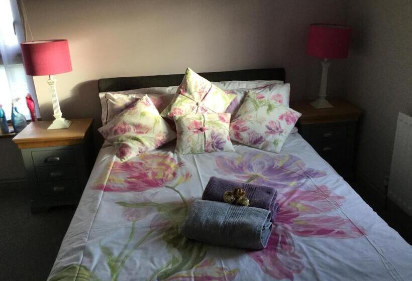 Bed and Breakfast Storws Y Gorlan Shepherd S Hut