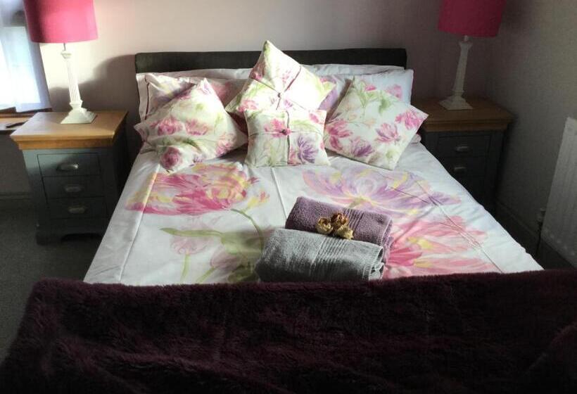 Bed and Breakfast Storws Y Gorlan Shepherd S Hut