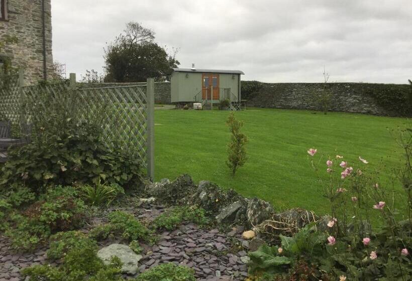 Bed and Breakfast Storws Y Gorlan Shepherd S Hut
