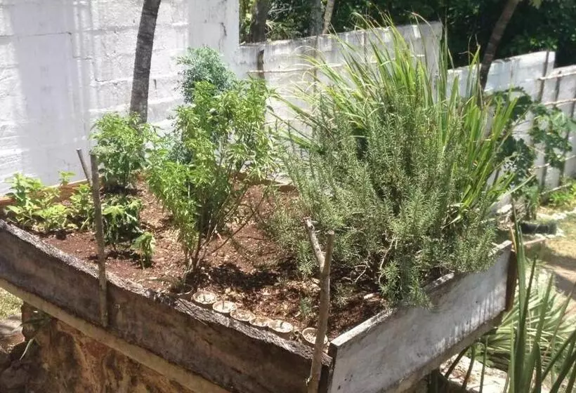 Majatalo Amigos Hotelito