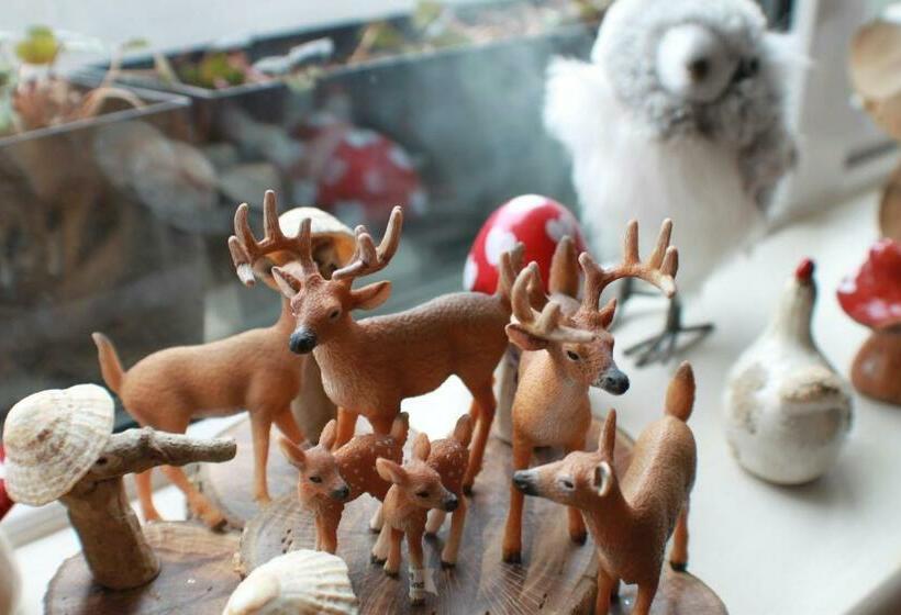 بنسيون Deerpark B&b