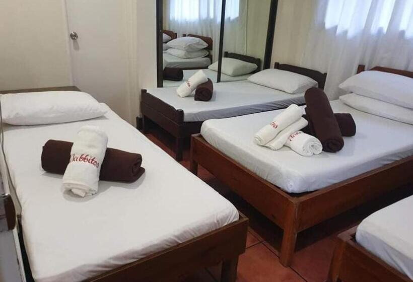 פנסיון Jabbitos Baguio Transient House Bungalow