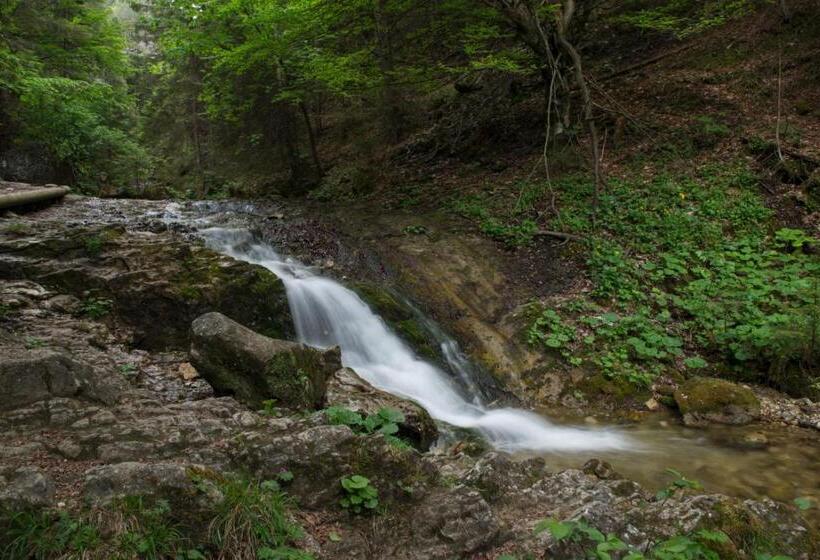 بنسيون Pizzeria Alžbetka