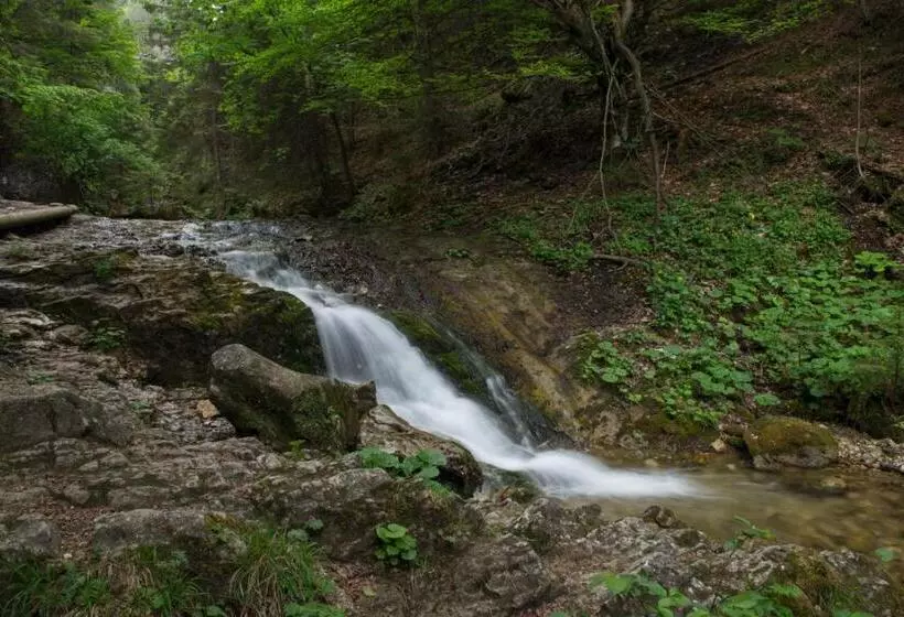 Majatalo Pizzeria Alžbetka