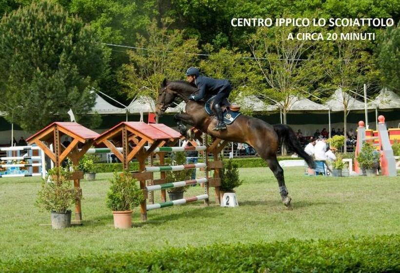 צימר Da Donna Rosa