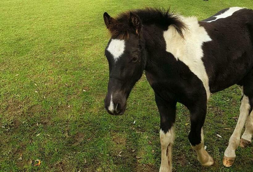 צימר Les Pérelles