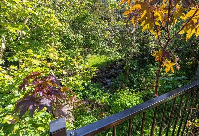 تختخواب و صبحانه Waimoana Garden Accommodation