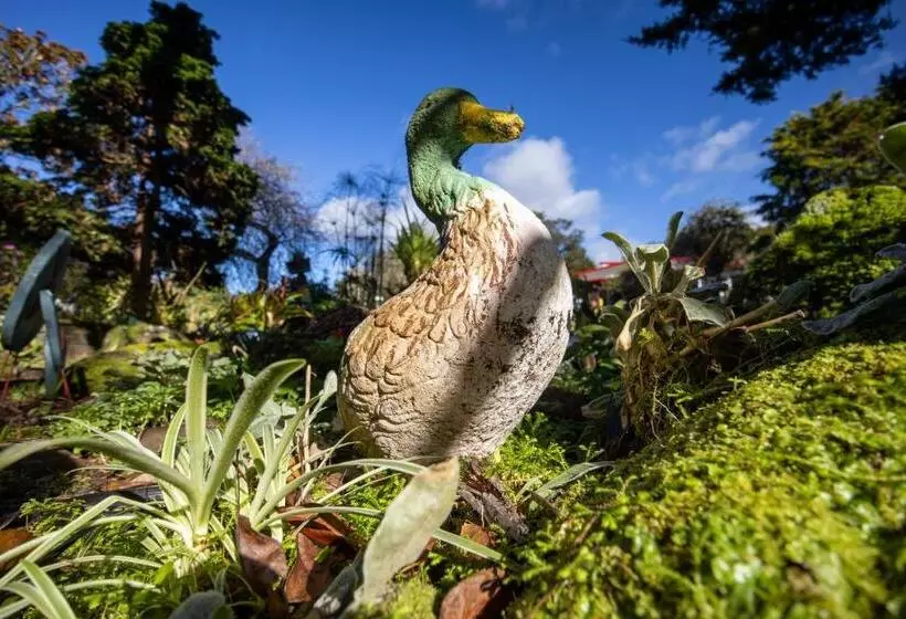 تختخواب و صبحانه Waimoana Garden Accommodation