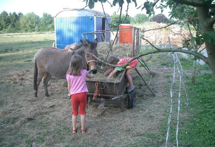 בית מלון כפרי Ferienhof Meyer Land