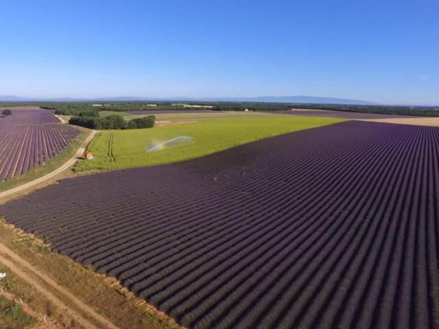 Пансион Le Petit Fabre