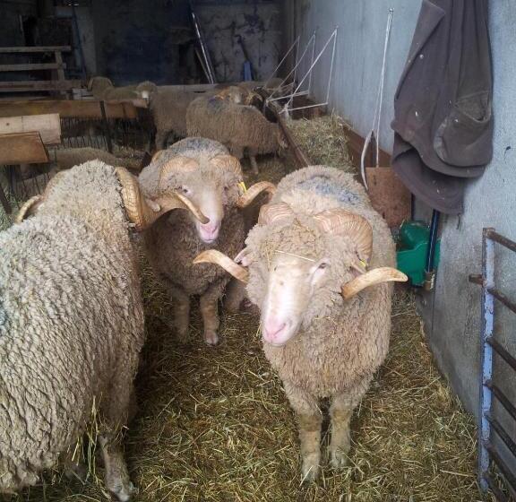 Пансион Le Petit Fabre