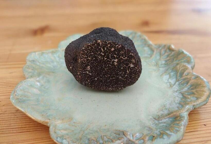 Пансион Le Petit Fabre