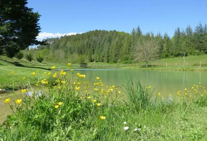 ベッドアンドブレックファースト Le Jardin Des Paons