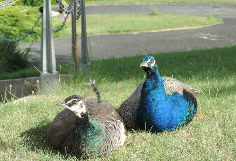 צימר Le Jardin Des Paons