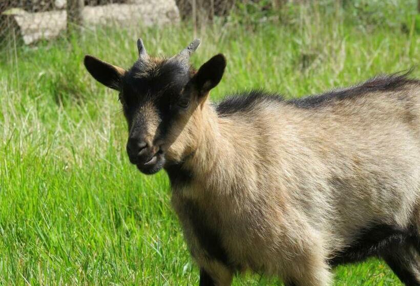 צימר Le Jardin Des Paons