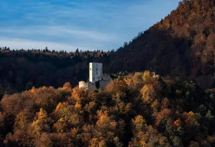 هتل Dvorec Trebnik Sobe