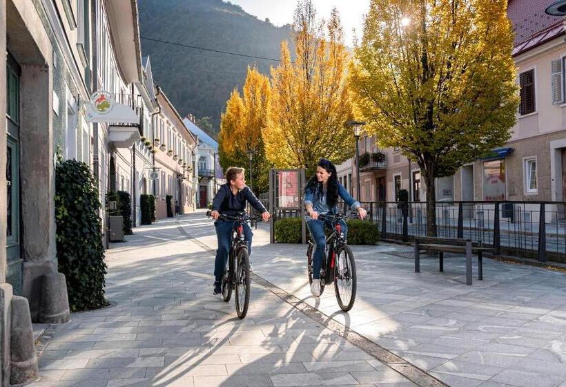 هتل Dvorec Trebnik   Sobe