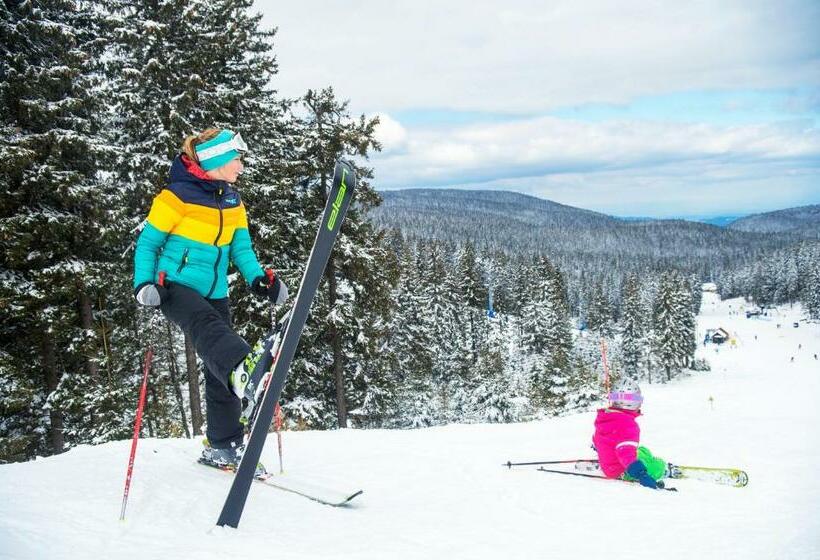 هتل Dvorec Trebnik   Sobe