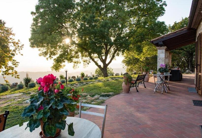 בית מלון כפרי La Sorgente Del Radicino