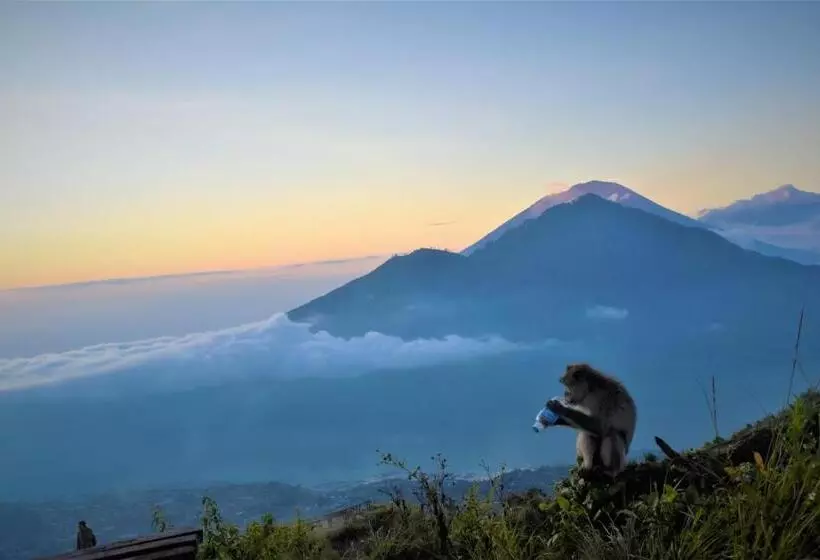 Majatalo Batur Bamboo Cabin By Ecommerceloka