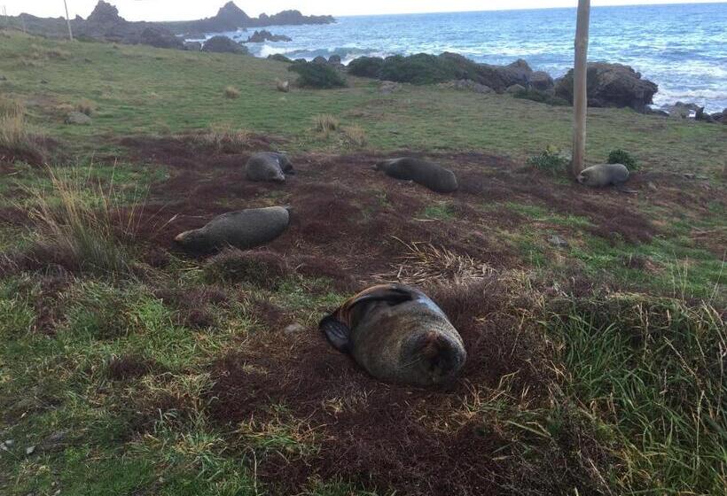 بنسيون Ivy S Cottage