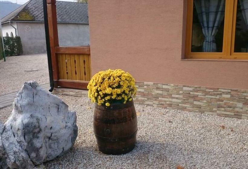 Пансион Penzión Vian