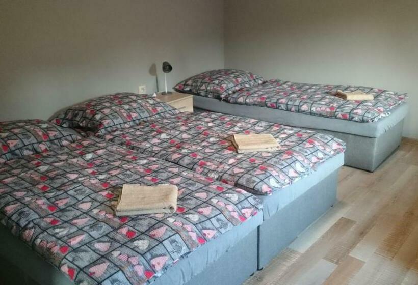 Пансион Penzión Vian