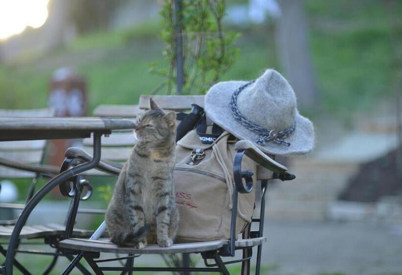 پانسیون Weingut Tauss