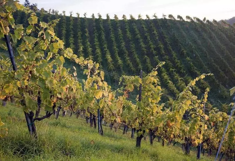 Pensió Weingut Tauss