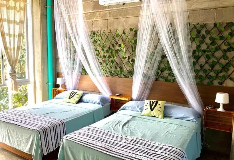 ユースホステル Hostal Tortuga