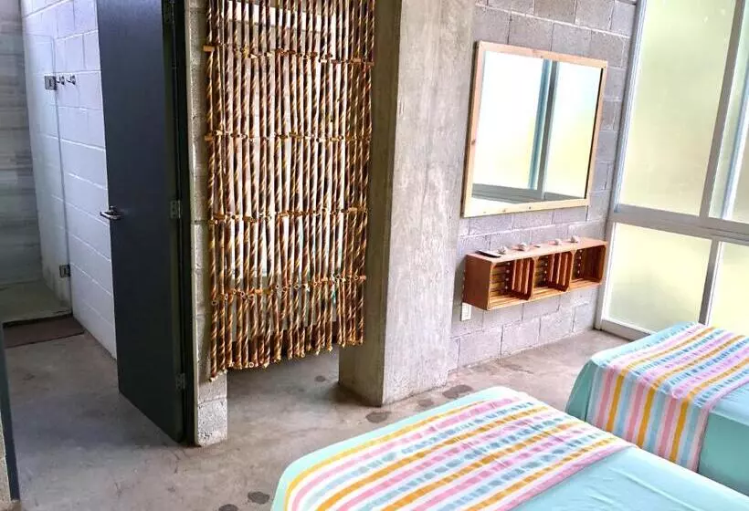 ユースホステル Hostal Tortuga
