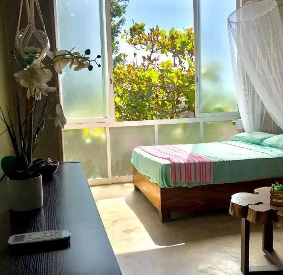 ユースホステル Hostal Tortuga