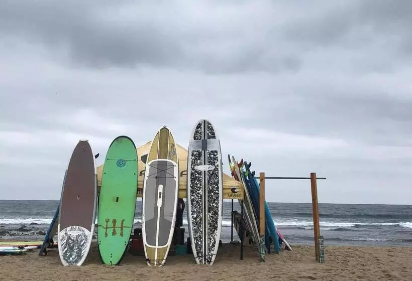 ユースホステル Hostal Tortuga