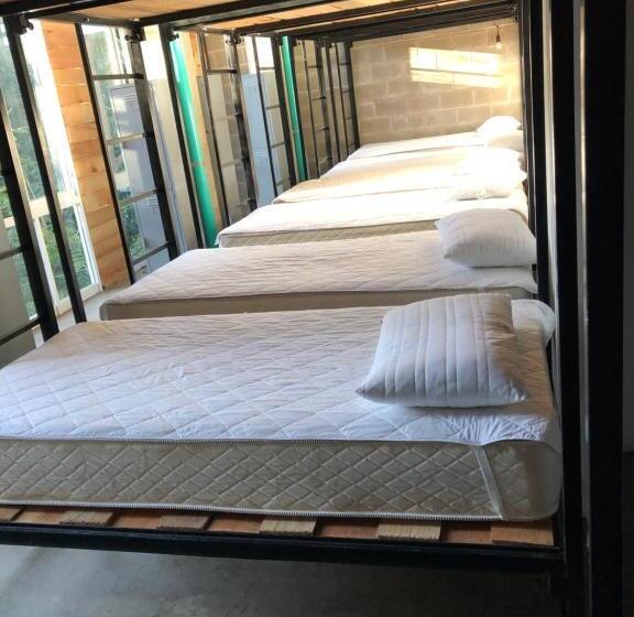 ユースホステル Hostal Tortuga